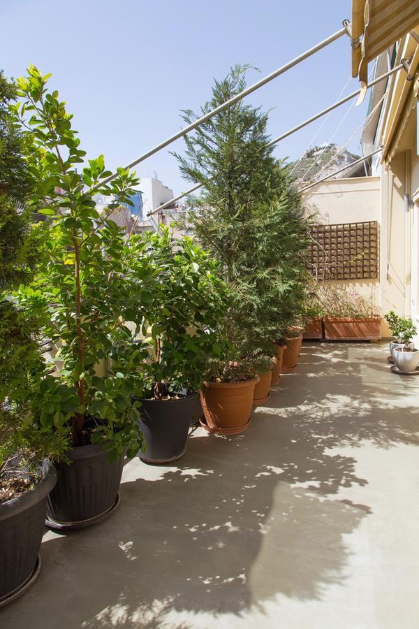 Beautiful Penthouse In Athens With Outside Jacuzzi 아파트 외부 사진